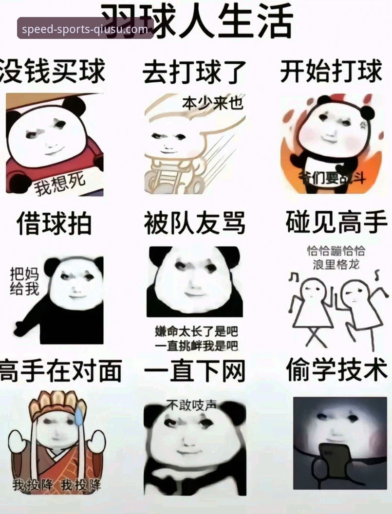 球速体育安装教程 球速体育安装教程:官方版 vs 第三方渠道,哪条路更稳妥?